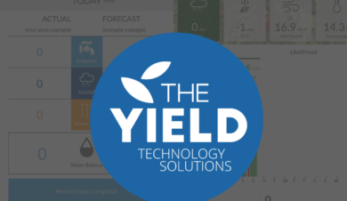 The Yield - Sensing+